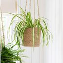 Garden Trading Hanging Basket - High