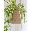 Garden Trading Hanging Basket - High