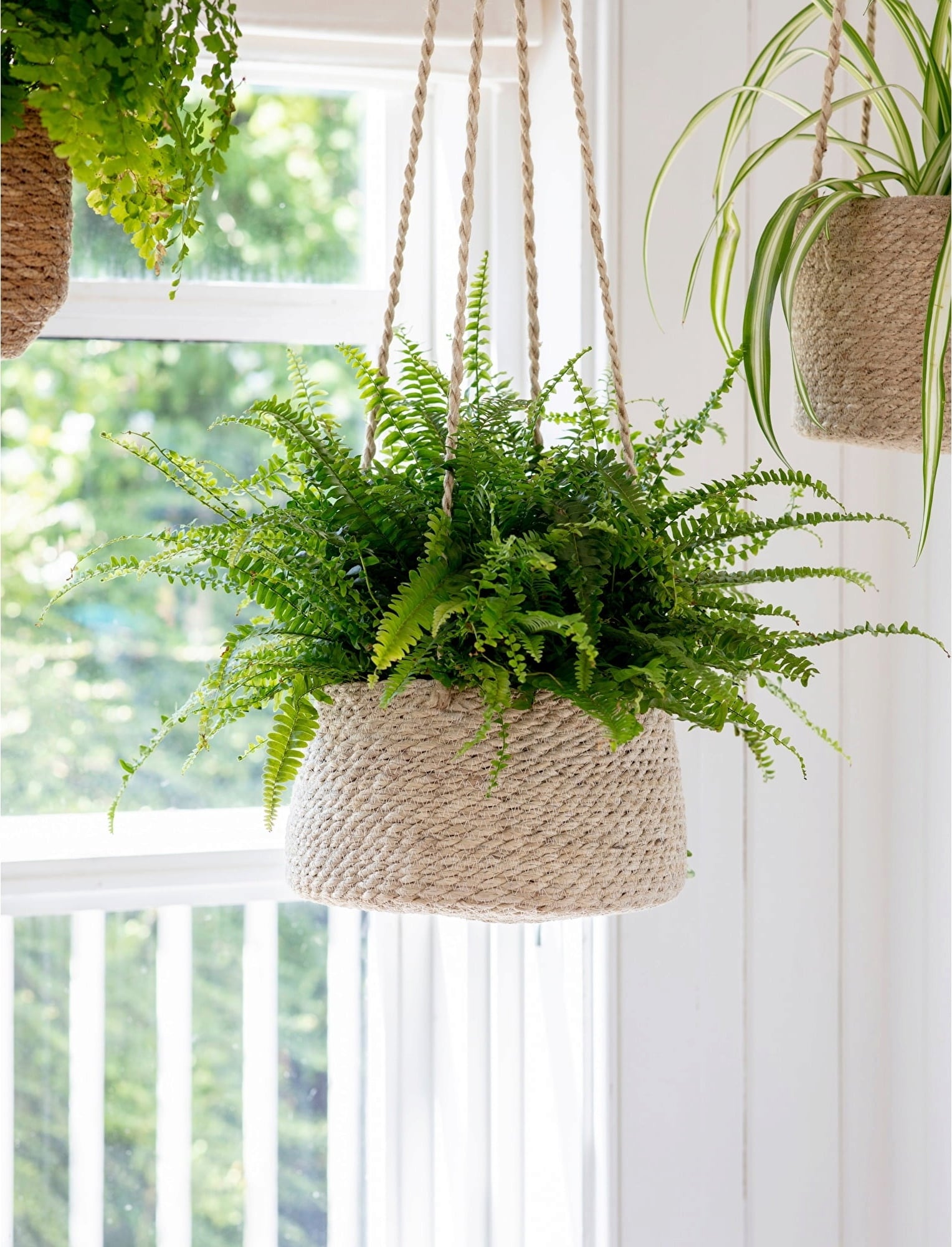 Garden Trading Hanging Basket - Flat