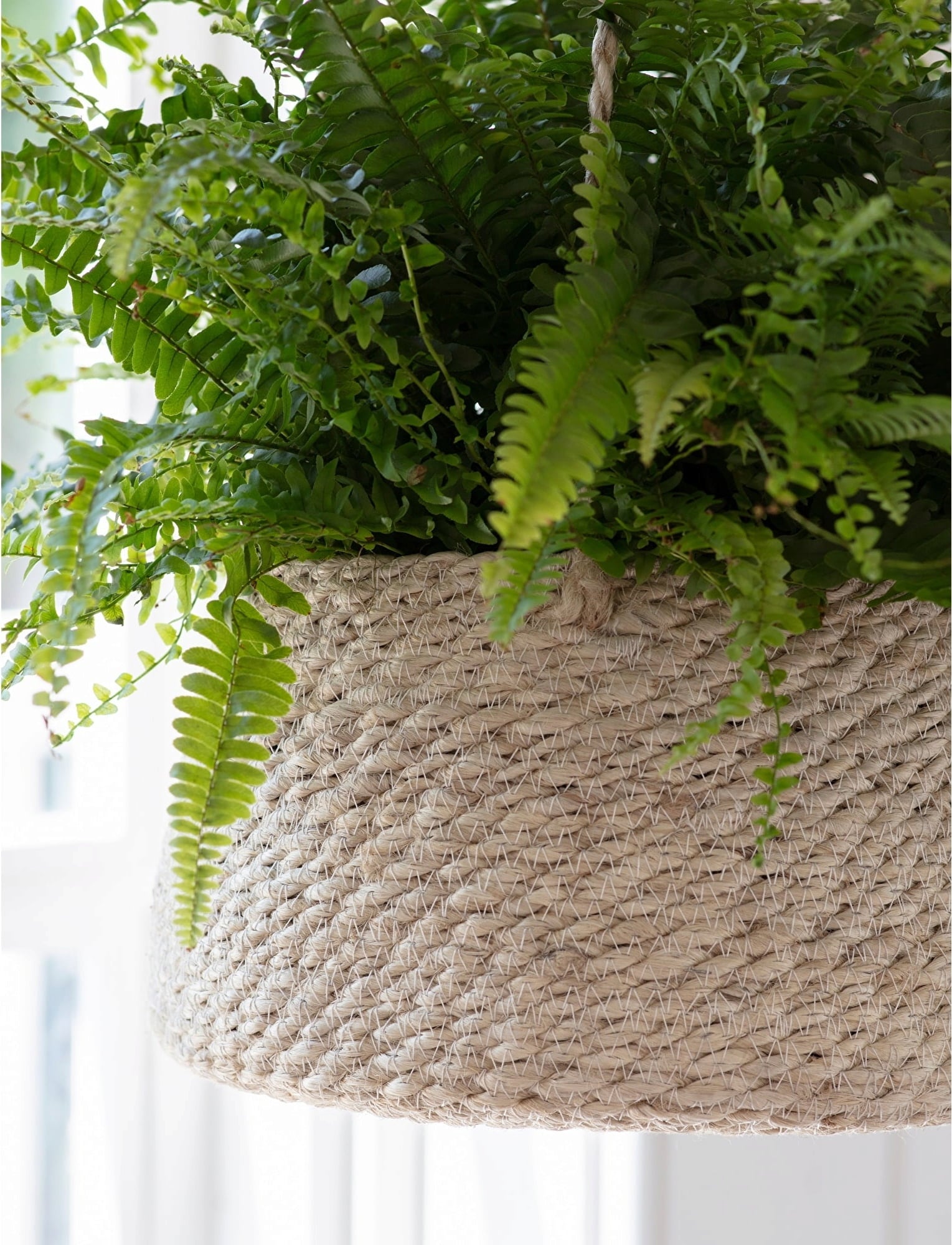 Garden Trading Hanging Basket - Flat