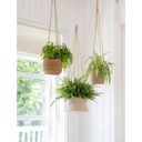 Garden Trading Hanging Basket - Short