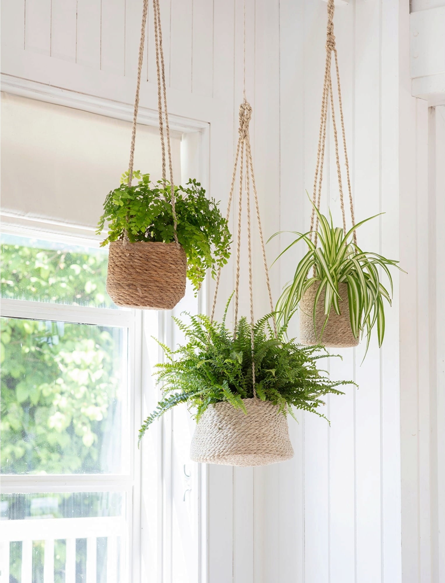 Garden Trading Hanging Basket - Flat