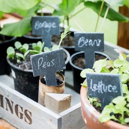 Garden Trading Plant Labels - 1 Set
