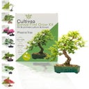 Cultivea Bonsai-Set
