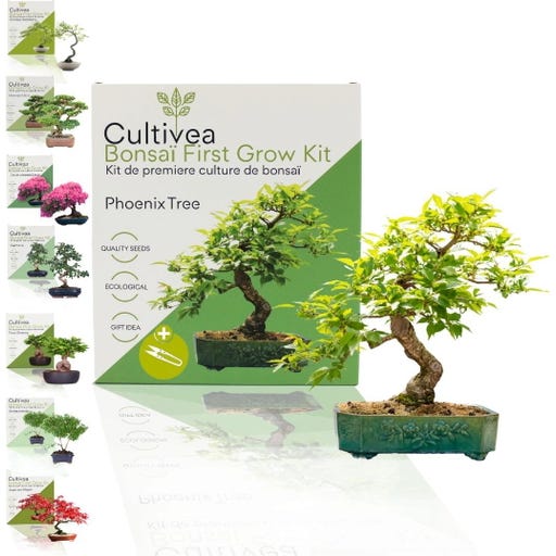 Cultivea Bonsai Set 