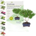 Cultivea Bonsai-Set 