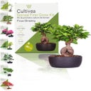 Cultivea Bonsai-Set 