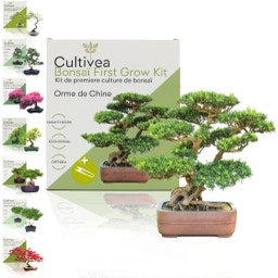 Cultivea Bonsai-Set 
