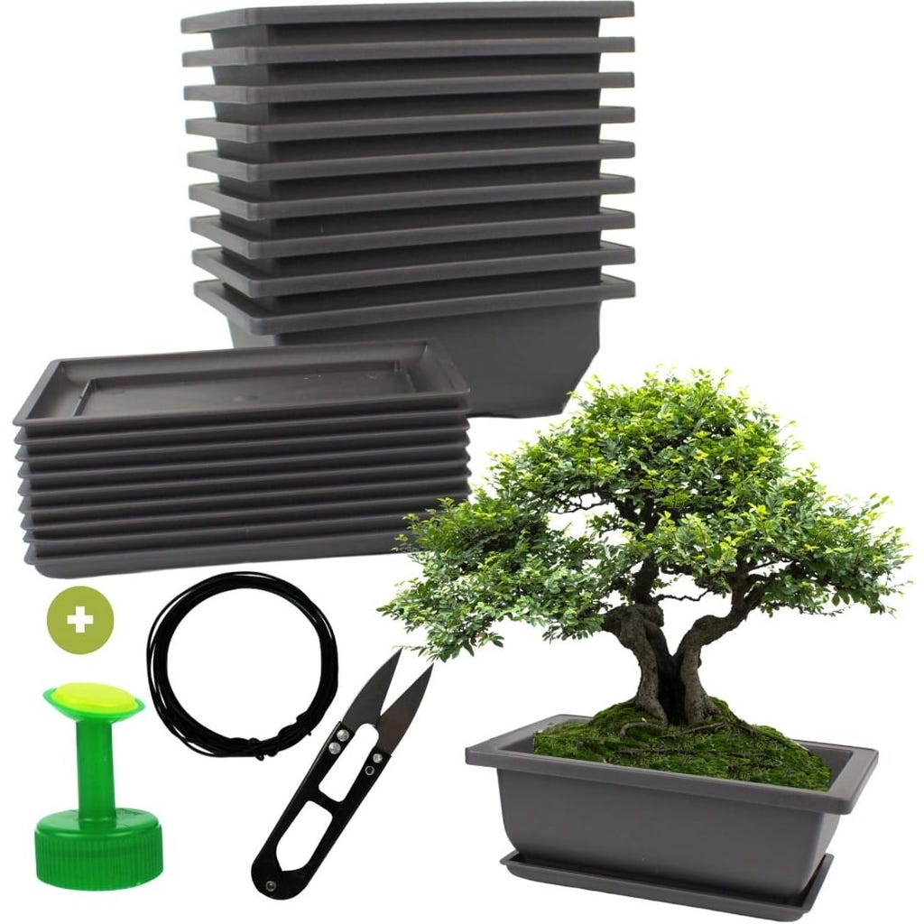 elephant bambus-pflegeöl Terrassendielen pflegen – Pflegeset Basic – Bambuskontor main image 1