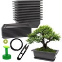 Cultivea Set mit 10 Bonsai-Töpfen - 1 Set