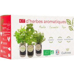 Ready to grow-Set Kräuter (Minze, Koriander, Thymian) - 1 Set