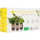 Set de Cultivo - Hierbas Aromáticas (Salvia, Albahaca Limón, Eneldo) - 1 set