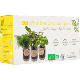 Ready to grow-Set Kräuter (Salbei, Zitronenbasilikum, Dill)