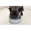 Denk Keramik Anti-Gulping iInssert for Dog Bowl - M