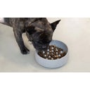 Denk Keramik Anti-Gulping iInssert for Dog Bowl - M