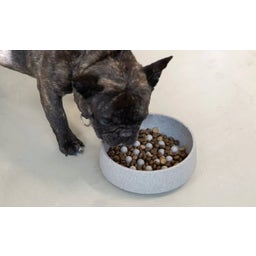 Denk Keramik Anti-Gulping iInssert for Dog Bowl - M