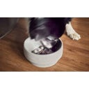 Insert Anti-Glouton pour Gamelle de Chien - L