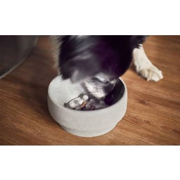 Insert Anti-Glouton pour Gamelle de Chien - L