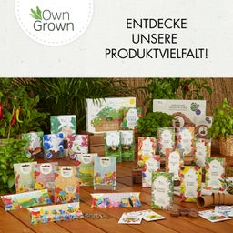 Own Grown  Calendrier Annuel Avec Semences