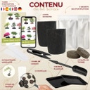Cultivea Bonsai-Set 