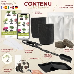 Cultivea Bonsai-Set 