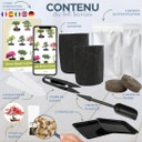 Cultivea Bonsai-Set 