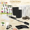 Cultivea Bonsai-Set 