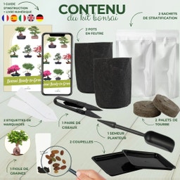 Cultivea Bonsai-Set 