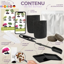 Cultivea Bonsai-Set 