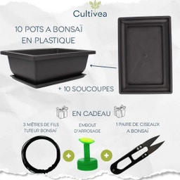 Cultivea Set mit 10 Bonsai-Töpfen