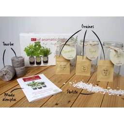 Ready to grow-Set Kräuter (Minze, Koriander, Thymian)