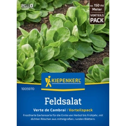 Feldsalatsamen Verte de Cambrai, Vorteilspackung - 1 Pkg