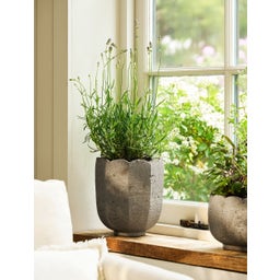 Garden Trading Blumentopf 