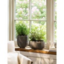 Garden Trading Blumentopf 