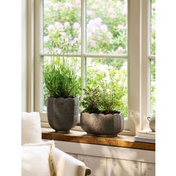 Garden Trading Blumentopf 