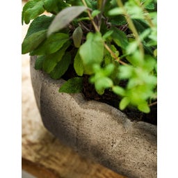 Garden Trading Blumentopf 