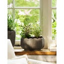 Garden Trading Blumentopf 