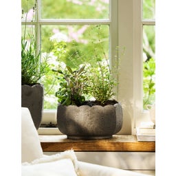 Garden Trading Blumentopf 