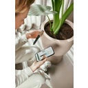 elho Smart Pebble - Brown, Indoor - 1 item