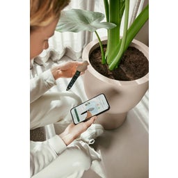 elho Smart Pebble - Brown, Indoor - 1 item