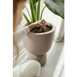 elho Smart Pebble - Brown, Indoor - 1 item