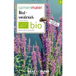 Samen Maier Fleur Sauvage - Salicaire Commune Bio - 1 sachet
