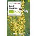 Samen Maier Bio Vadvirág - Fekete ökörfarkkóró - 1 csomag