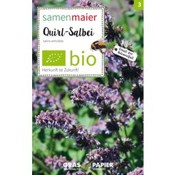 Samen Maier Bio Wildblume Quirl-Salbei - 1 Pkg