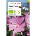 Samen Maier Fleur Sauvage - Mauve Alcée Bio - 1 sachet