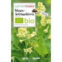 Samen Maier Bio dzikie kwiaty - pierwiosnek lekarski - 1 opak.