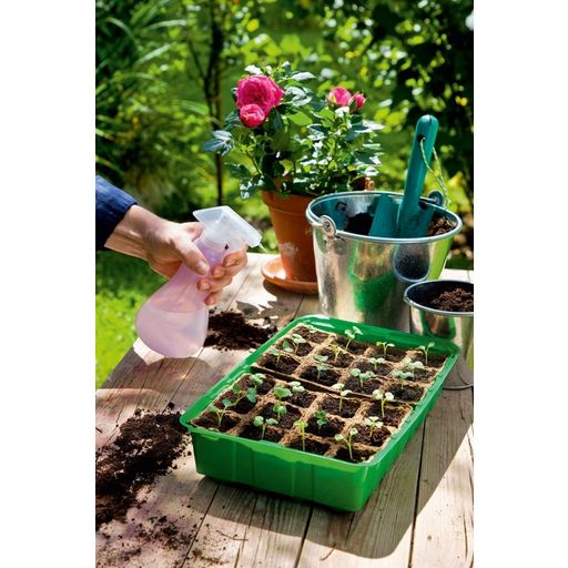 Romberg Greenhouse M PLUS POTS w 24 Seed Pots - 1 item