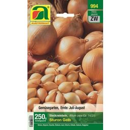 AUSTROSAAT Sturon Yellow Onions 250g - 250 grams