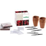 Set de Cultivo SPICY-BOX - Pimientos y Guindillas