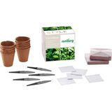 Set de Cultivo FRESH-BOX - Hierbas Aromáticas